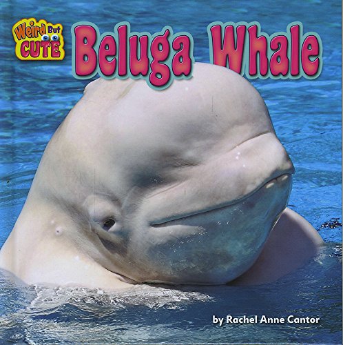 Beispielbild fr Beluga Whale zum Verkauf von Better World Books
