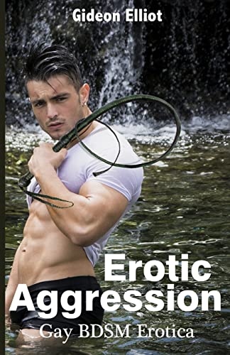 Stock image for Erotic Aggression: Gay Bdsm Erotica (Paperback or Softback) for sale by BargainBookStores