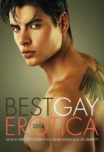 Stock image for Best Gay Erotica 2014 for sale by Dunaway Books