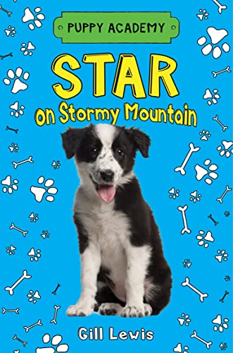 9781627797962: Star on Stormy Mountain (Puppy Academy, 2)