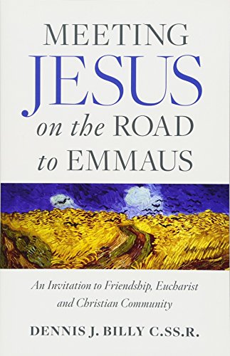 Imagen de archivo de Meeting Jesus on the Road to Emmaus: An Invitation to Friendship, Eucharist and Christian Community a la venta por BooksRun