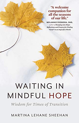 Beispielbild fr Waiting in Mindful Hope : Wisdom for Times of Transition zum Verkauf von Better World Books