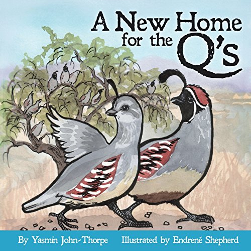 9781627871464: A New Home for the QS