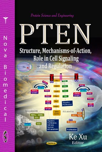 Stock image for PTEN: Structure, Mechanisms-of-Action, Role in Cell Signaling and Regulation (Protein Science and Engineering) for sale by dsmbooks