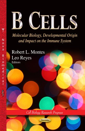 Imagen de archivo de B CELLS MOLECULAR BIOLOGY Molecular Biology, Developmental Origin Impact on the Immune System Cell Biology Research Progress a la venta por PBShop.store US