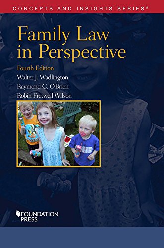 Stock image for Family Law in Perspective (Concepts and Insights) for sale by HPB-Red