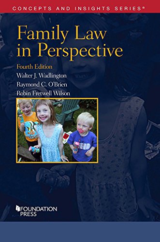 Stock image for Family Law in Perspective (Concepts and Insights) for sale by Books Unplugged