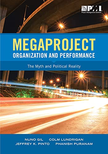 9781628251760: Megaproject Organization and Performance: The Myth and Political Reality