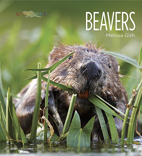 Stock image for Living Wild: Beavers for sale by Once Upon A Time Books