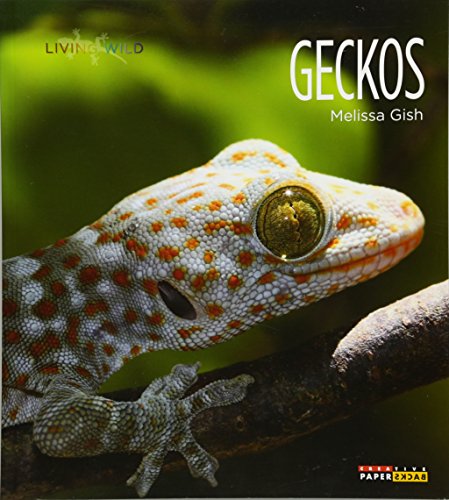 Imagen de archivo de Living Wild: Geckos a la venta por HPB-Diamond