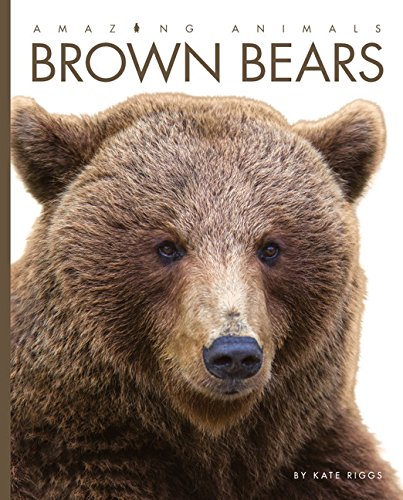 Beispielbild fr Amazing Animals: Brown Bears zum Verkauf von BooksRun