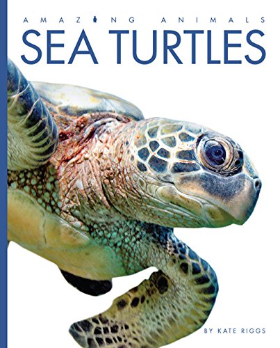 Imagen de archivo de Amazing Animals: Sea Turtles a la venta por ThriftBooks-Atlanta