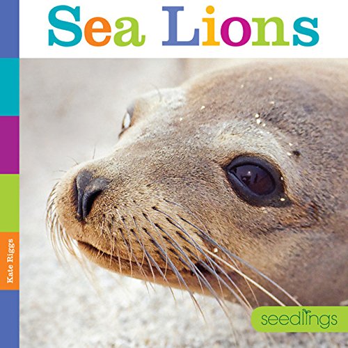 Stock image for Seedlings: Sea Lions for sale by Better World Books