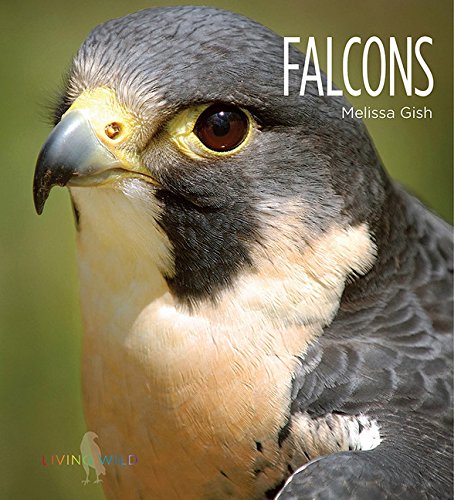 Imagen de archivo de Falcons (Living Wild) a la venta por Wonder Book