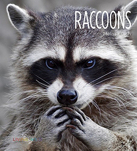 9781628321715: Raccoons (Living Wild)