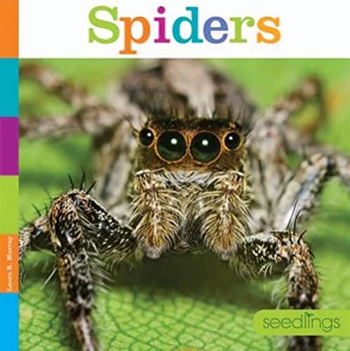 Beispielbild fr Spiders (Seedlings) zum Verkauf von SecondSale