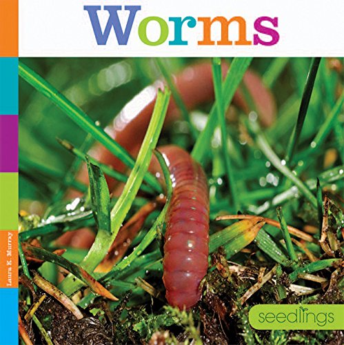 9781628321906: Worms: Seedlings