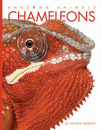 Beispielbild fr Chameleons (Amazing Animals) zum Verkauf von BooksRun