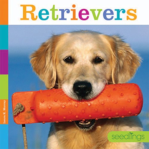 Imagen de archivo de Retrievers a la venta por Better World Books