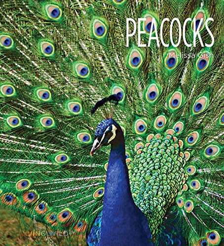Imagen de archivo de Peacocks (Living Wild) a la venta por Zoom Books Company