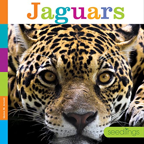 9781628323344: Jaguars (Seedlings)
