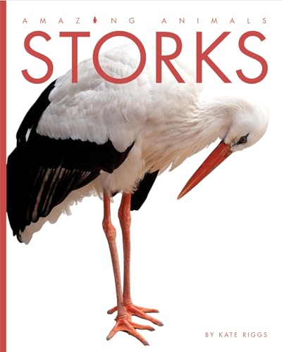 9781628323665: Storks
