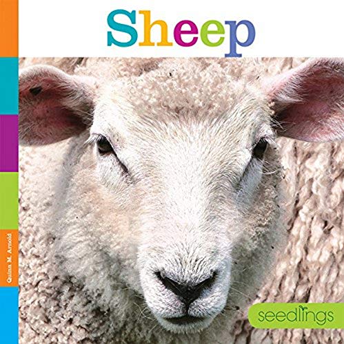 Stock image for Seedlings: Sheep for sale by Better World Books