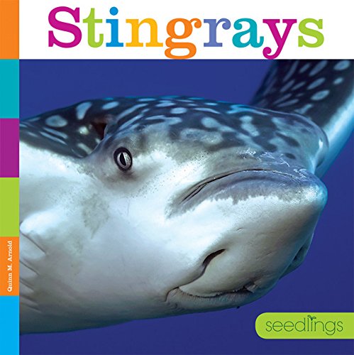 9781628324020: Seedlings: Stingrays