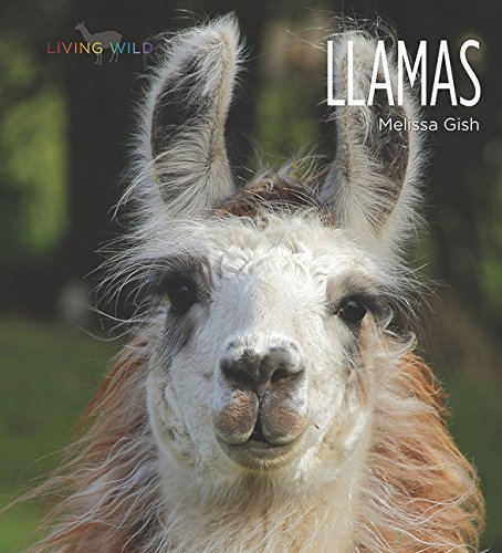 Beispielbild fr Living Wild: Llamas zum Verkauf von Better World Books