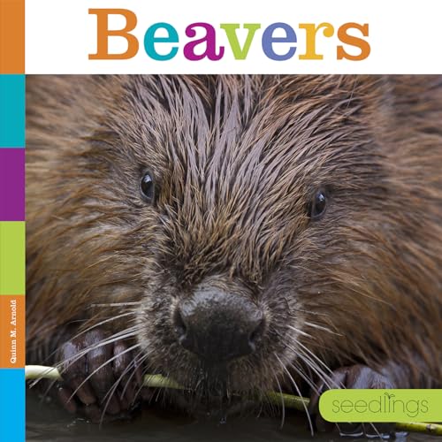 Stock image for Seedlings: Beavers for sale by Better World Books