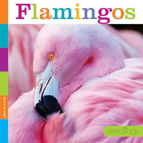 Stock image for Seedlings: Flamingos for sale by Austin Goodwill 1101