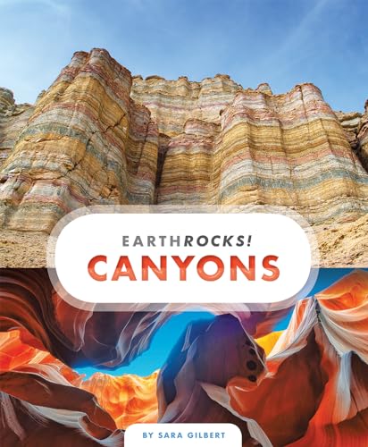 Stock image for Canyons (Earth Rocks!) for sale by SecondSale
