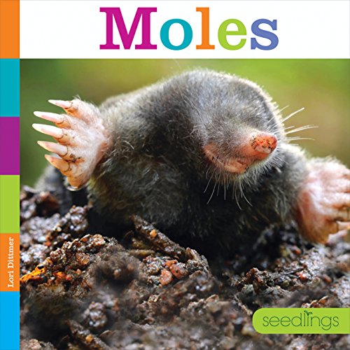 Beispielbild fr Moles (Seedlings: Backyard Animals) zum Verkauf von SecondSale