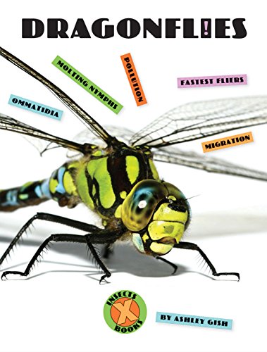 Imagen de archivo de Dragonflies (X-Books: Insects) a la venta por SecondSale