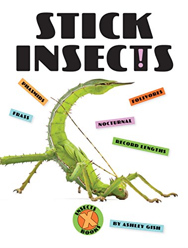 Beispielbild fr Stick Insects (X-Books: Insects) zum Verkauf von AwesomeBooks