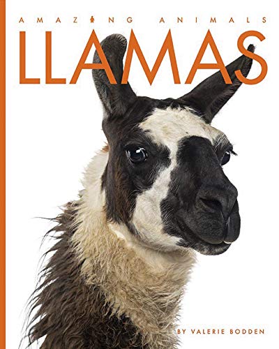 Imagen de archivo de Llamas (Amazing Animals) a la venta por BooksRun