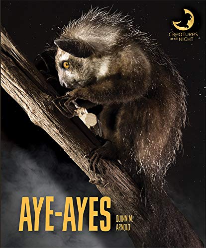 9781628326796: Aye-ayes (Creatures of the Night)