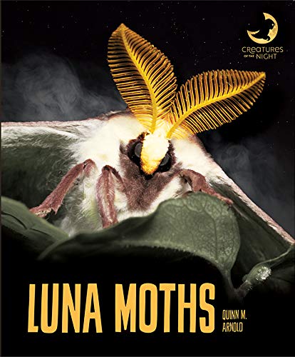 Beispielbild fr Luna Moths (Creatures of the Night) zum Verkauf von Buchpark