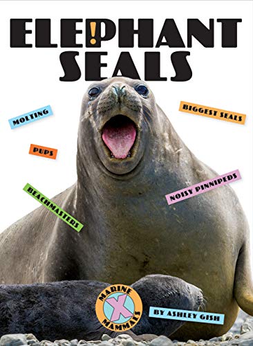 Beispielbild fr Elephant Seals zum Verkauf von Revaluation Books