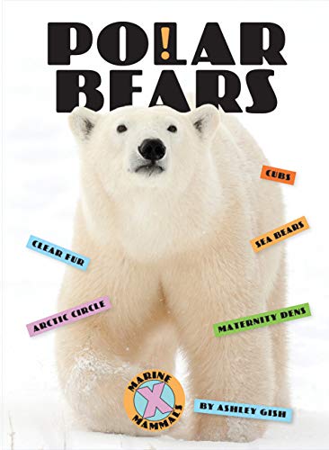 Beispielbild fr Polar Bears zum Verkauf von Buchpark