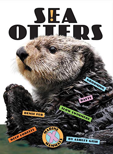 Beispielbild fr Sea Otters zum Verkauf von Buchpark