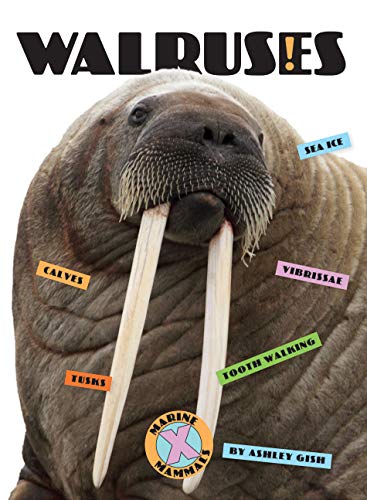 Beispielbild fr Walruses (X-Books: Marine Mammals) zum Verkauf von Buchpark