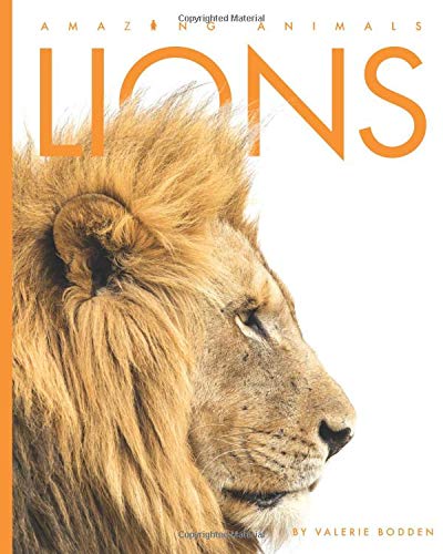 Imagen de archivo de Lions a la venta por Better World Books: West
