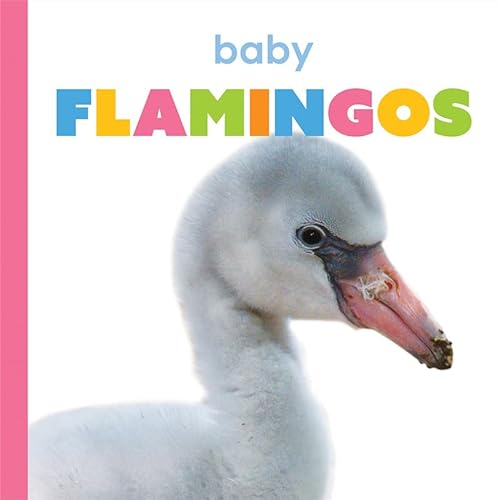 Beispielbild fr Baby Flamingos (Starting Out) zum Verkauf von Buchpark