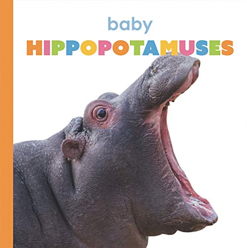 Beispielbild fr Baby Hippopotamuses zum Verkauf von Buchpark