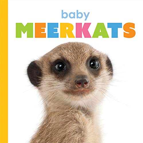 Beispielbild fr Baby Meerkats zum Verkauf von Buchpark