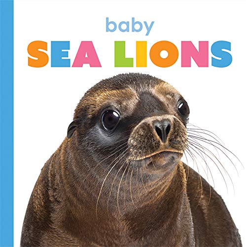 Beispielbild fr Baby Sea Lions zum Verkauf von ThriftBooks-Dallas