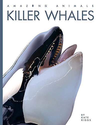 Imagen de archivo de Killer Whales (Amazing Animals) a la venta por HPB-Diamond