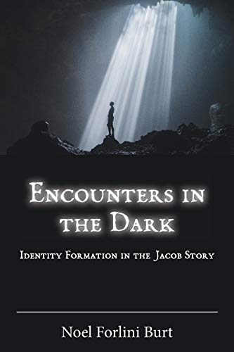 Stock image for Encounters in the Dark Identity Formation in the Jacob Story for sale by Michener & Rutledge Booksellers, Inc.