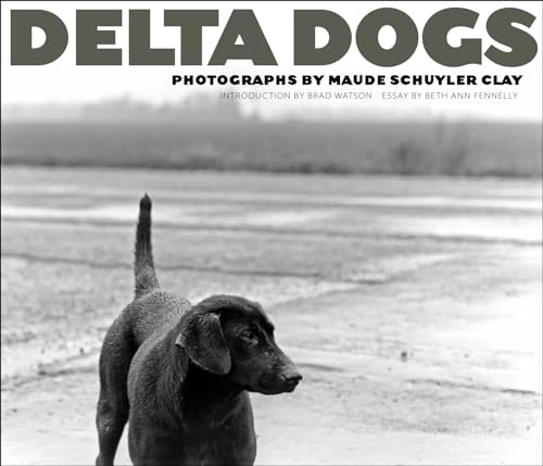 Imagen de archivo de Delta Dogs a la venta por HPB-Emerald